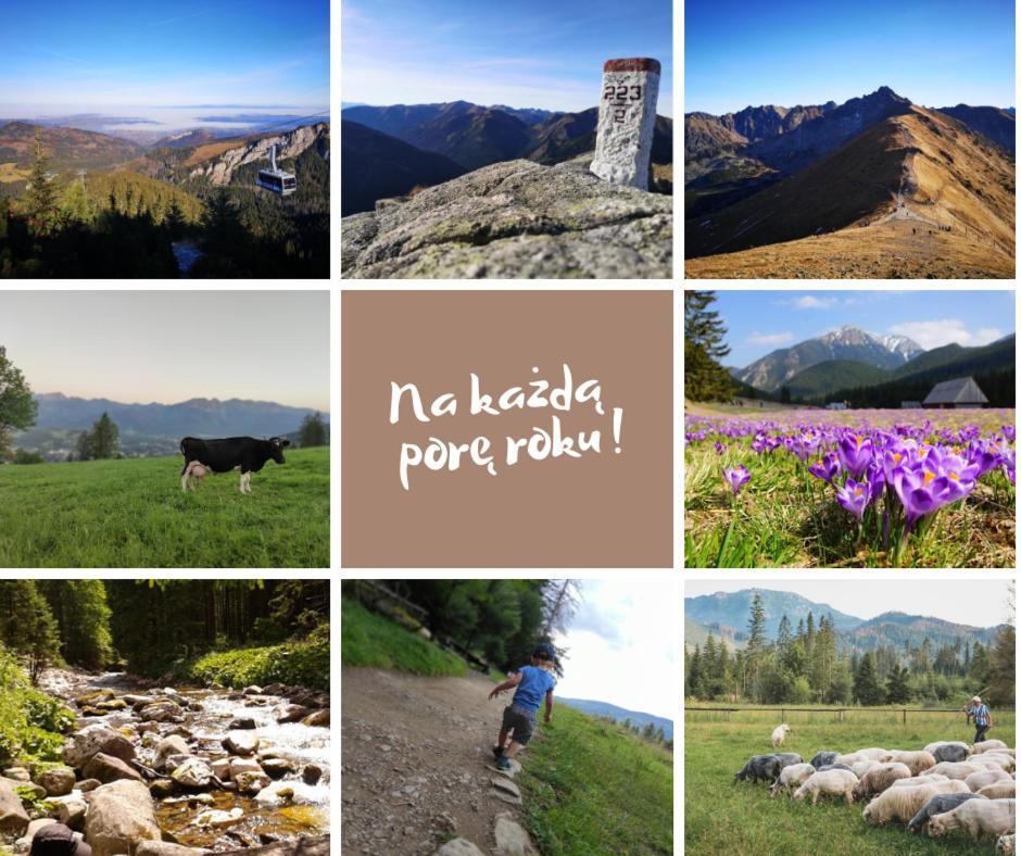 Zakopane - Apartament Chomikowka Екстериор снимка