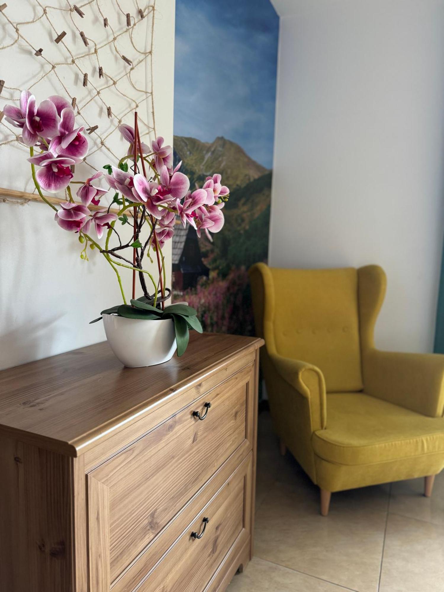 Zakopane - Apartament Chomikowka Екстериор снимка